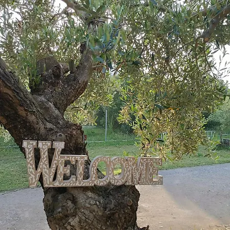 The Secret Olive House Villa Nea Michaniona Exterior photo