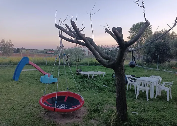 The Secret Olive House