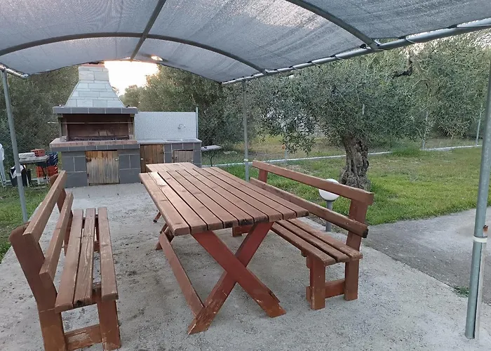 The Secret Olive House