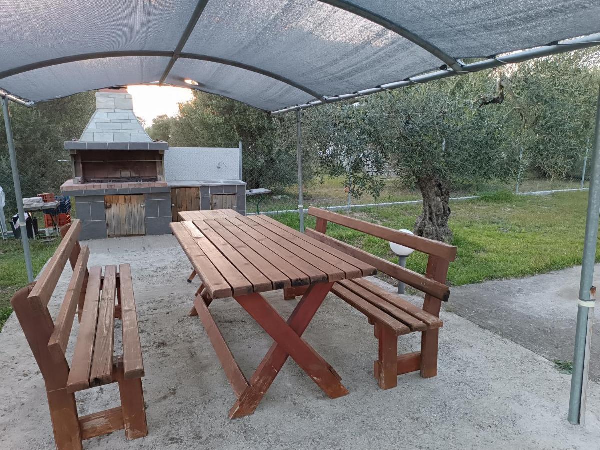 The Secret Olive House *