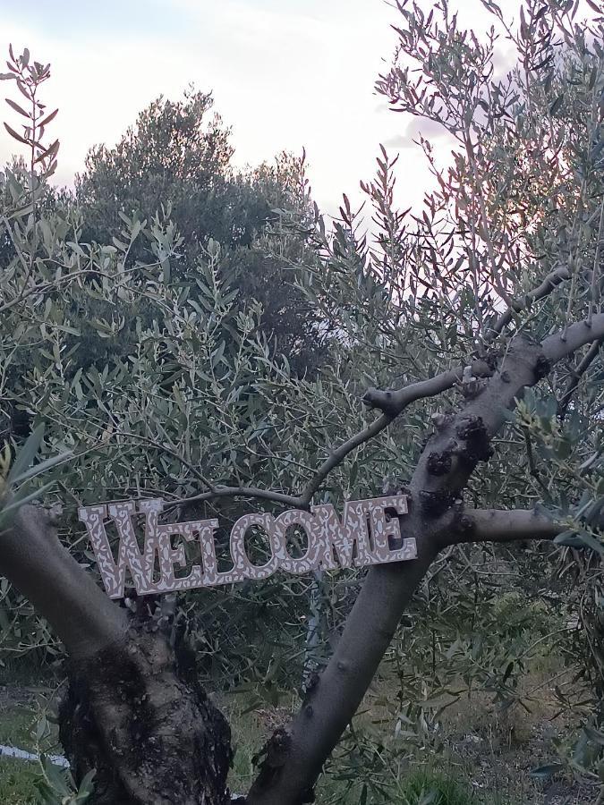 Dom wakacyjny The Secret Olive House *
