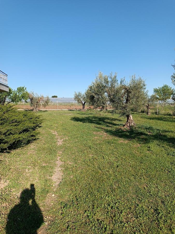 Dom wakacyjny The Secret Olive House *