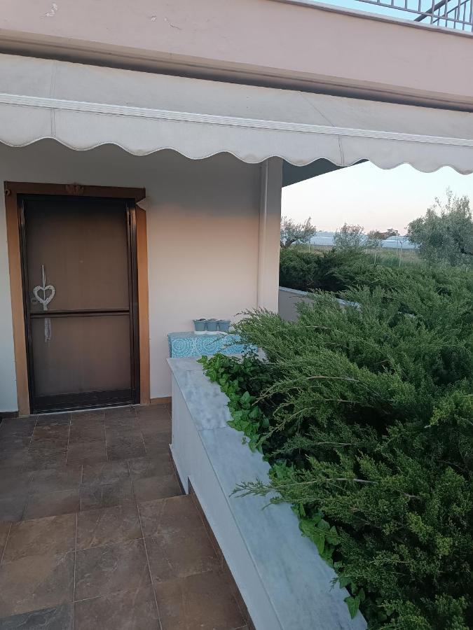 The Secret Olive House Dom wakacyjny Nea Michaniona