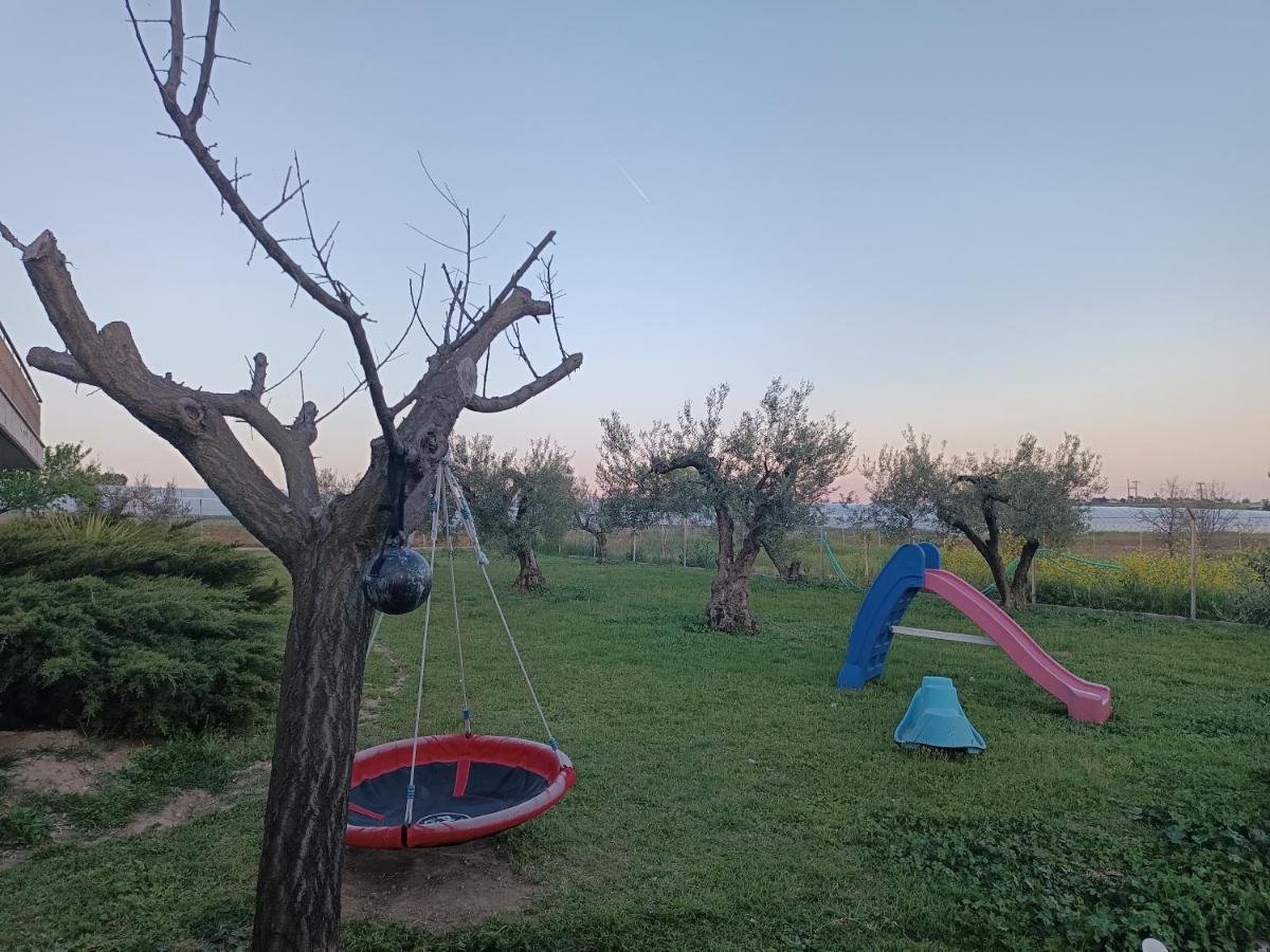The Secret Olive House Nea Michaniona