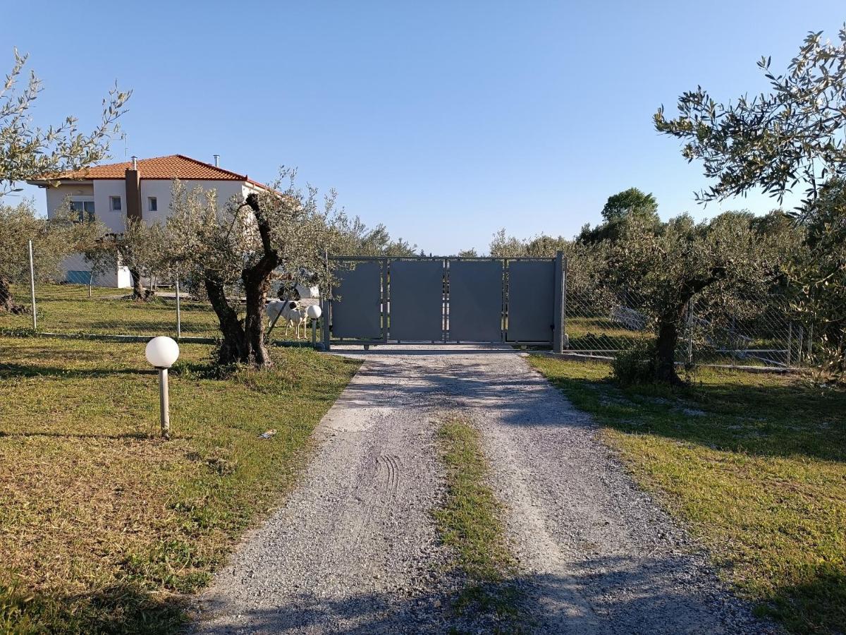 The Secret Olive House Dom wakacyjny Nea Michaniona
