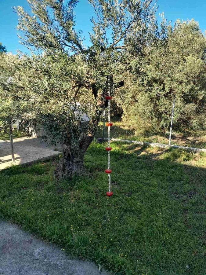 The Secret Olive House Holiday home