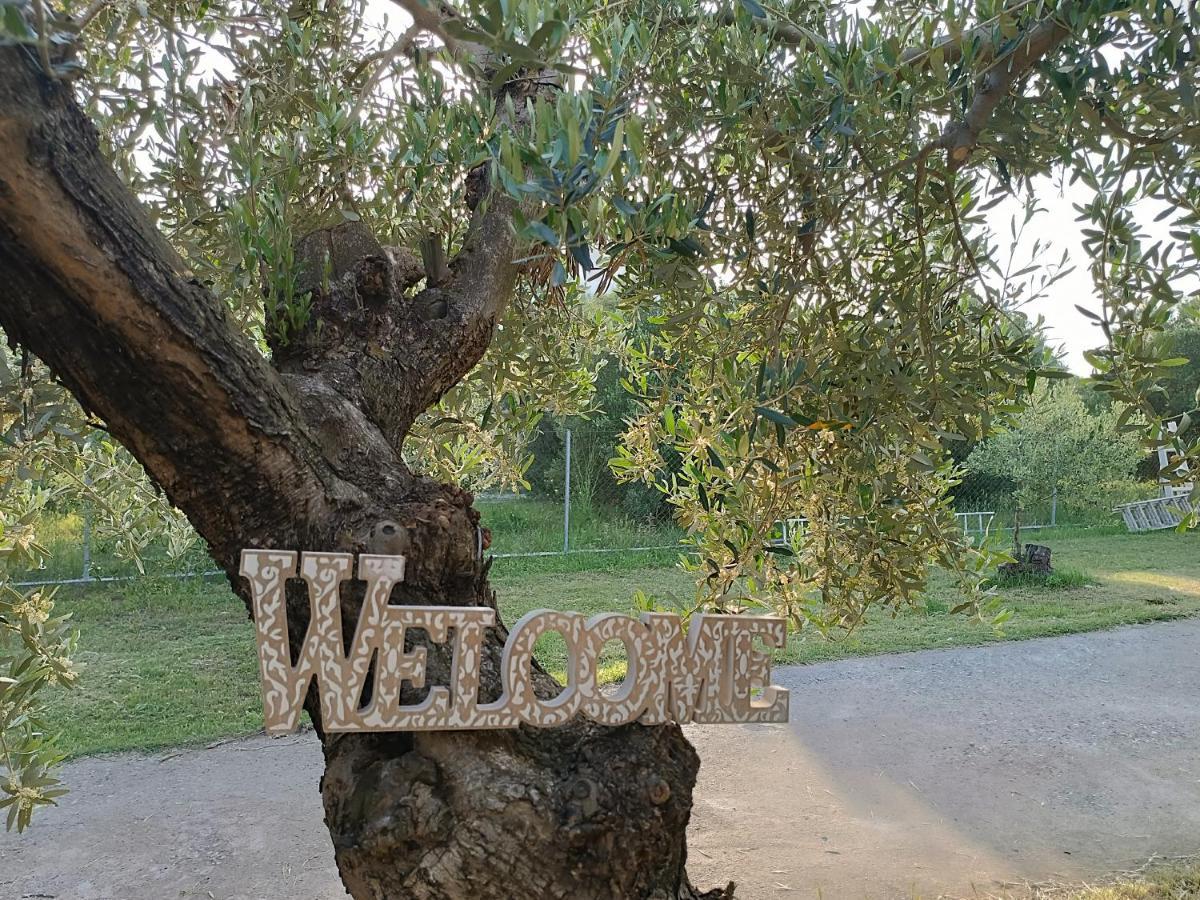 The Secret Olive House Holiday home *